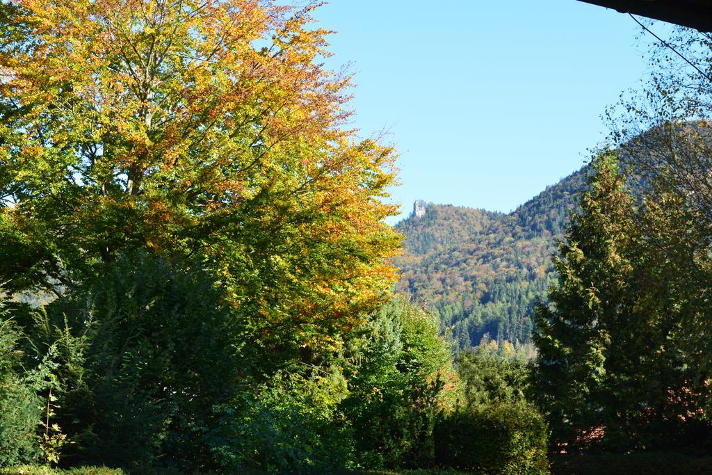 Garni Sonnenhof Rotta